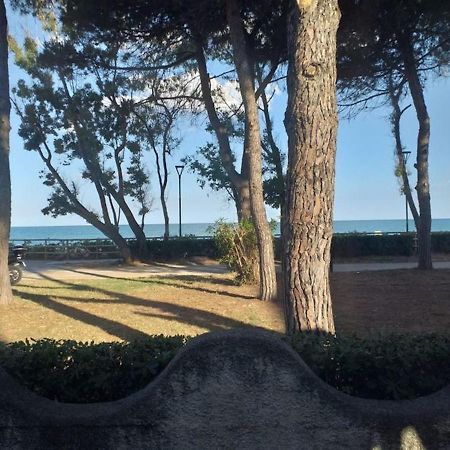 Room In Bb - Spacious Double Room Beside The Sea بينيتو المظهر الخارجي الصورة