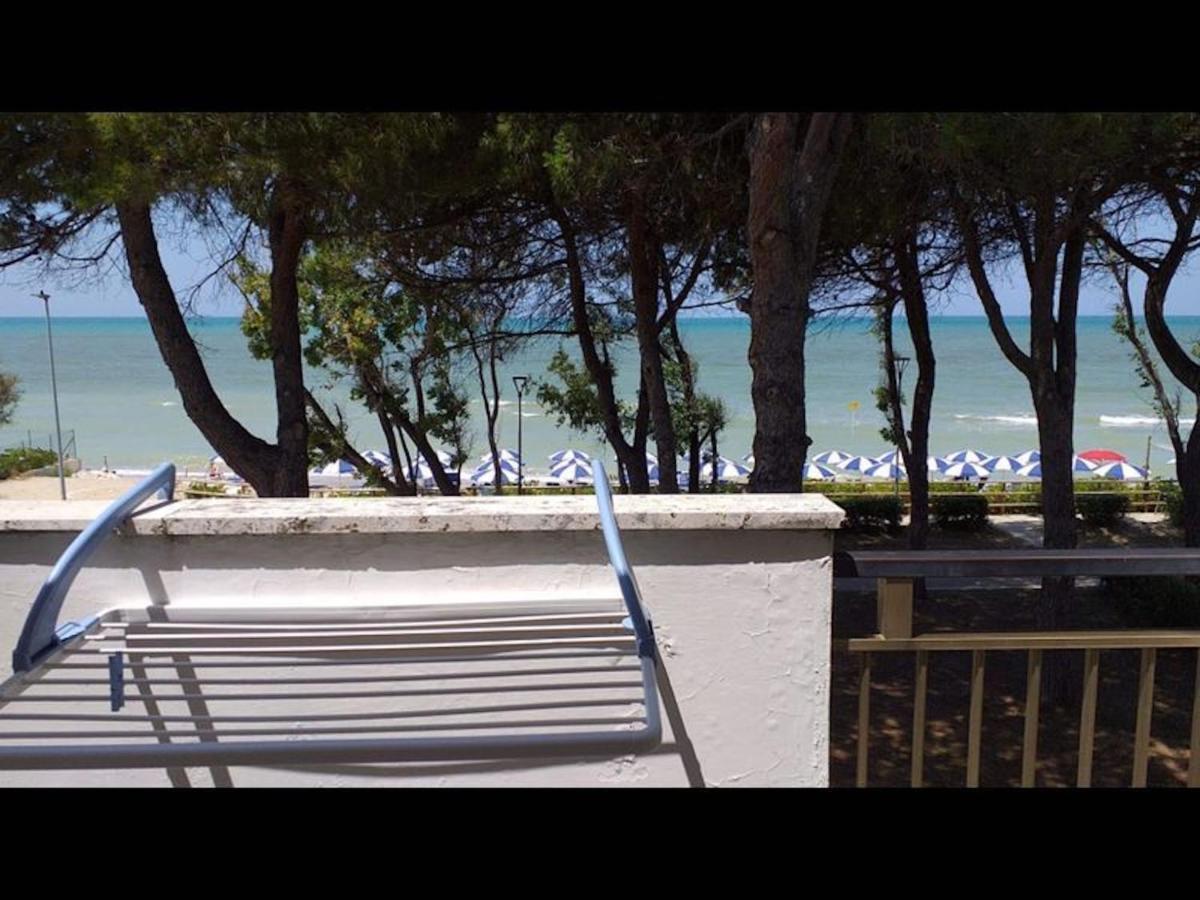 Room In Bb - Spacious Double Room Beside The Sea بينيتو المظهر الخارجي الصورة
